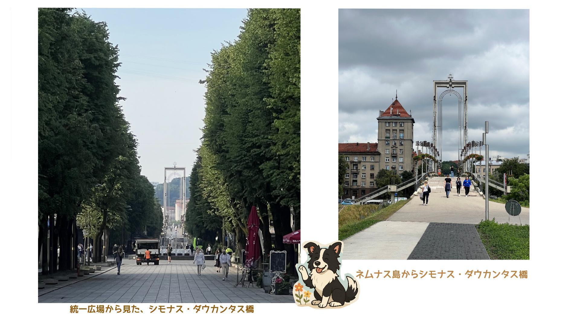 島へ渡るための橋