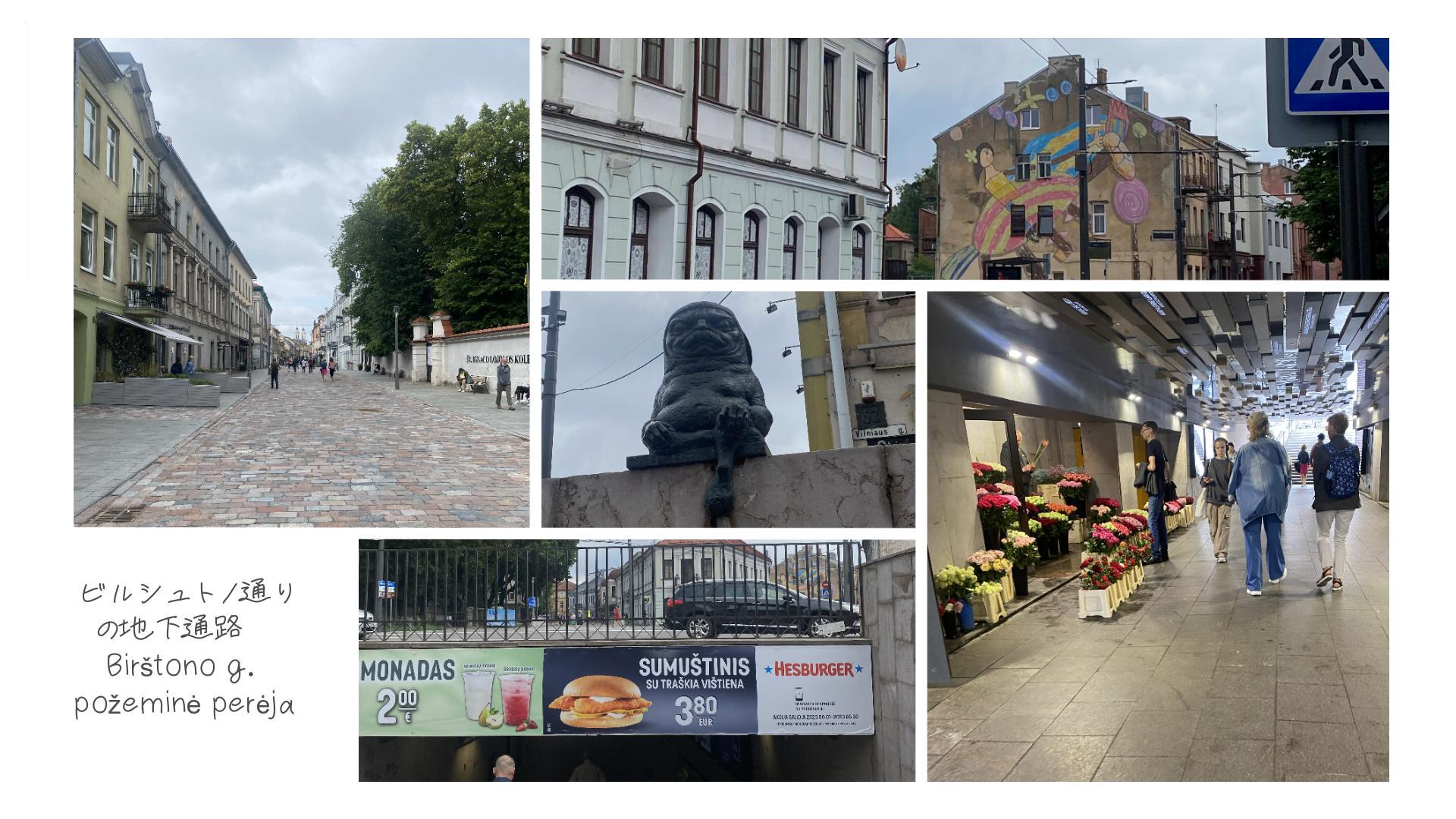 地下道、 Birštono g. požeminė perėja