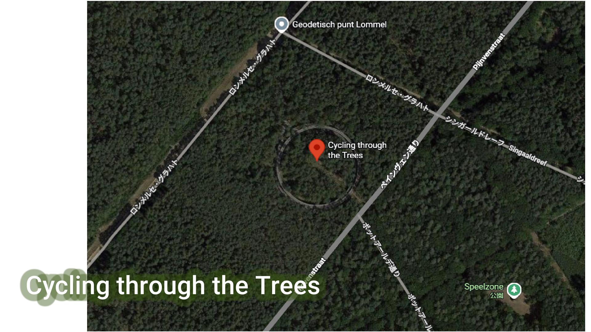 森に浮かぶサイクリング　in Belgium