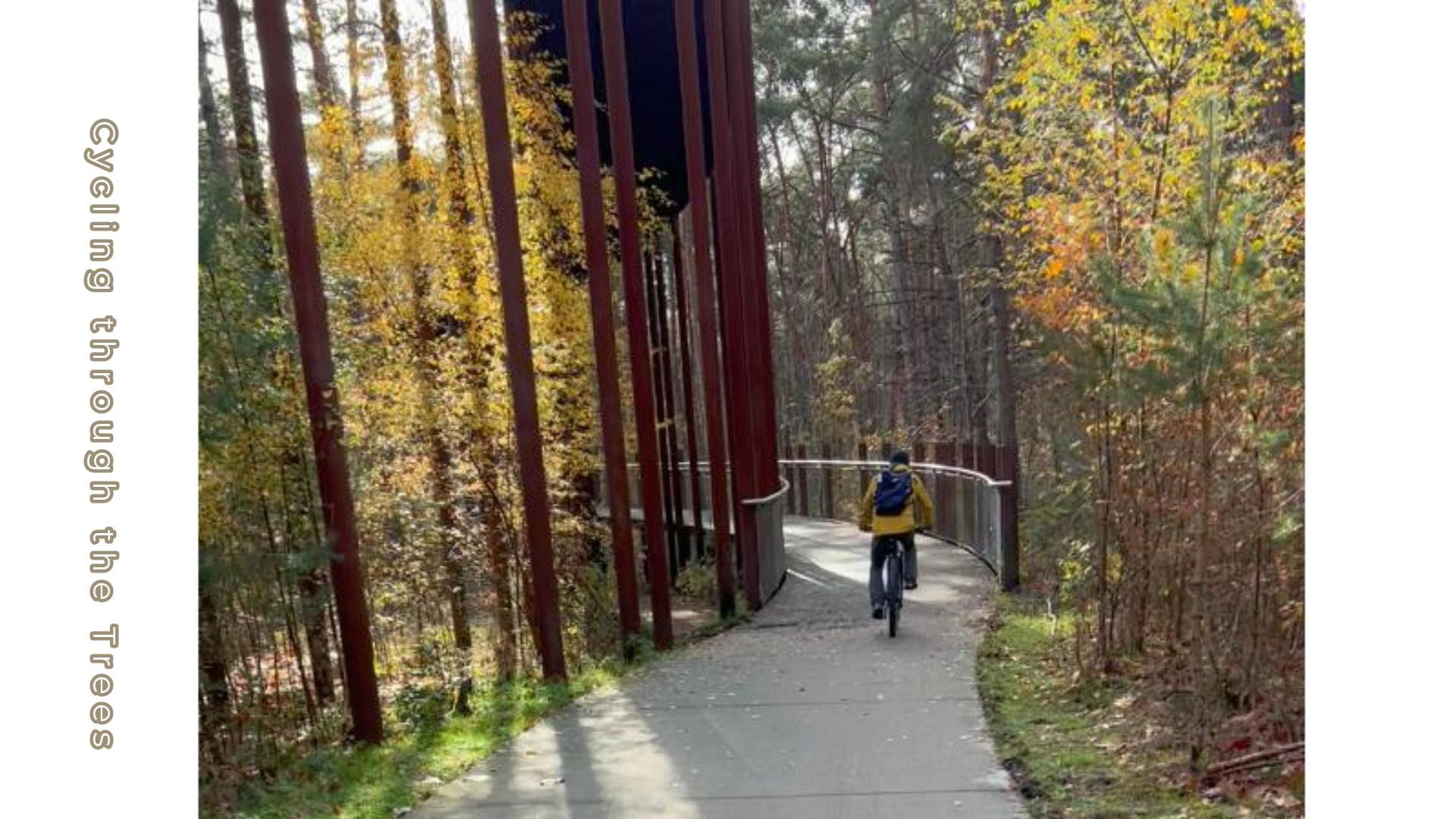ゆるやかにくるりと上へ