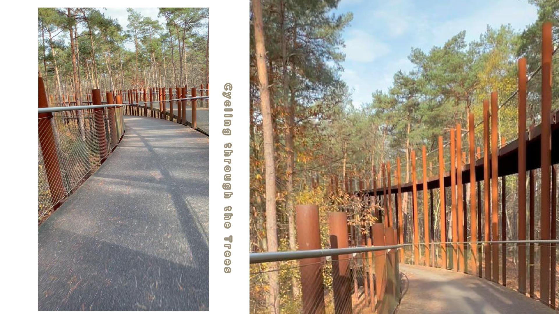 下りは風がスッと通り抜ける