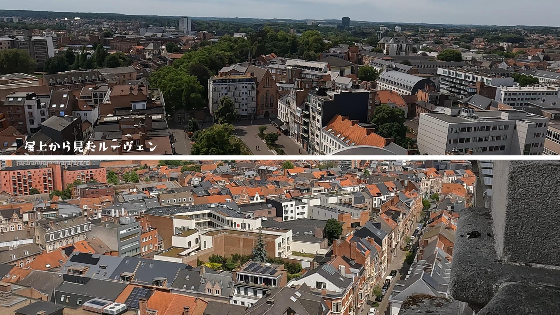 屋上から見た景色