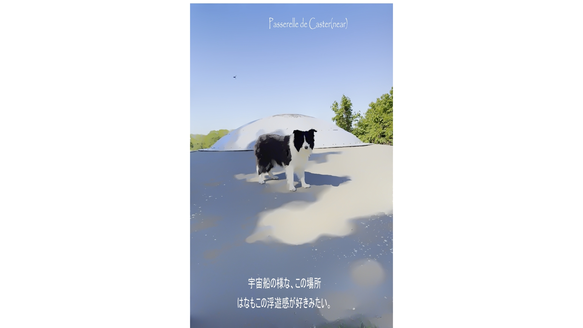 周辺おすすめスポット